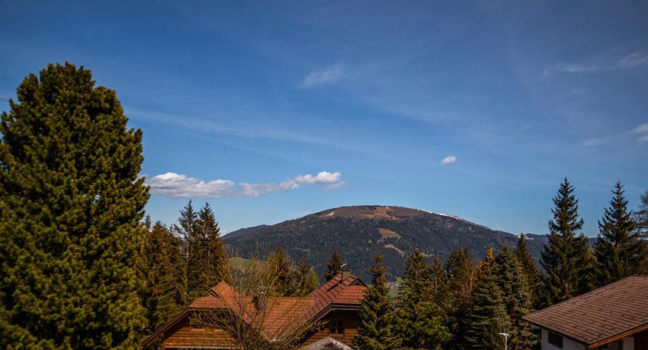 Vila Almhaus Frierss Verditz Exteriér fotografie