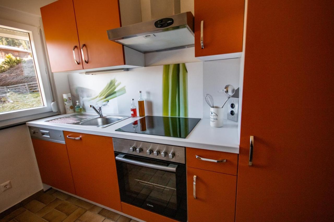 Vila Almhaus Frierss Verditz Exteriér fotografie
