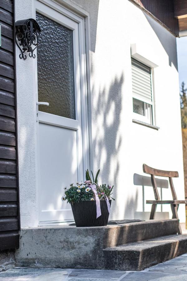 Vila Almhaus Frierss Verditz Exteriér fotografie